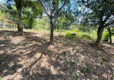 Land for Sale in Angunakolapelessa
