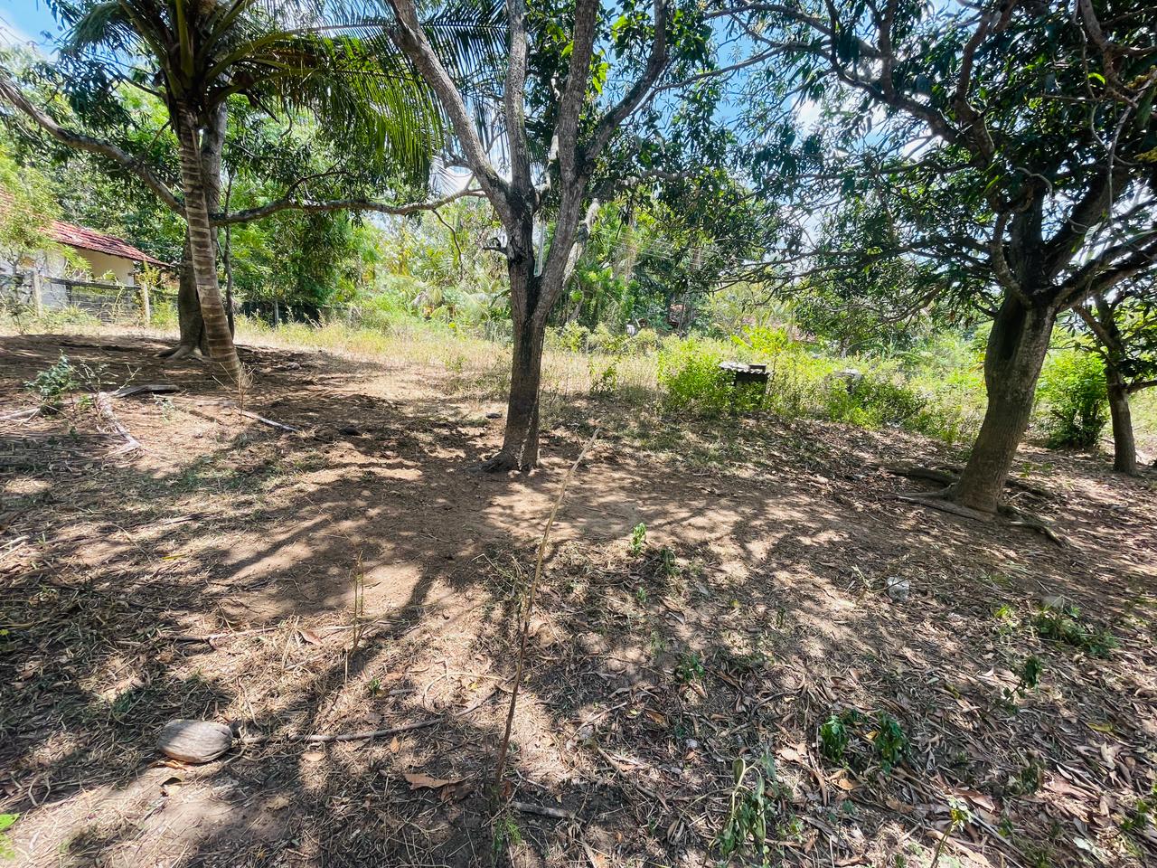 Land for Sale in Angunakolapelessa