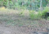 Land for Sale in Angunakolapelessa