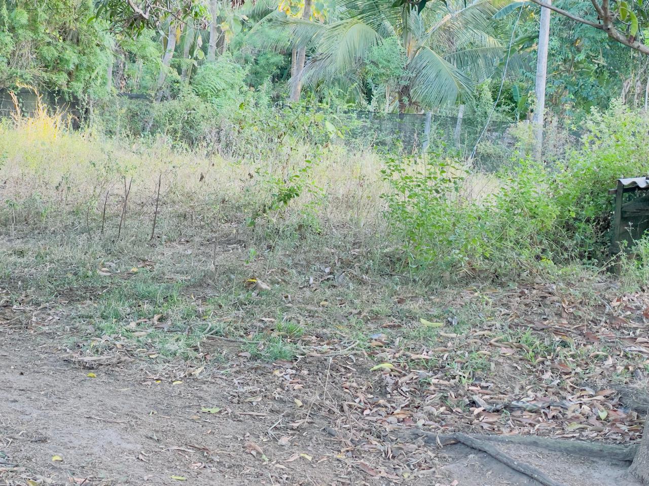 Land for Sale in Angunakolapelessa