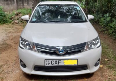 Toyota Axio G Grade 2015