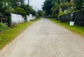 Land For Sale In Moragahahena