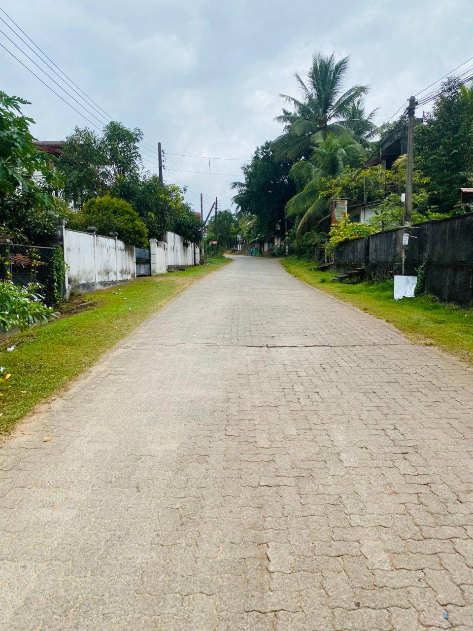 Land For Sale In Moragahahena