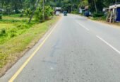 Land For Sale In Moragahahena