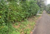 Land For Sale In Moragahahena