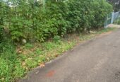 Land For Sale In Moragahahena