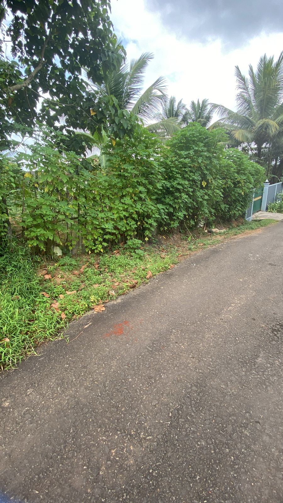 Land For Sale In Moragahahena