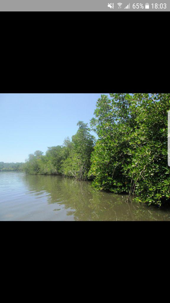 Hotel for Rent Hikkaduwa