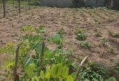 Precious Resident Land for Sales ( 11 Perches) Kadawatha