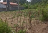 Precious Resident Land for Sales ( 11 Perches) Kadawatha