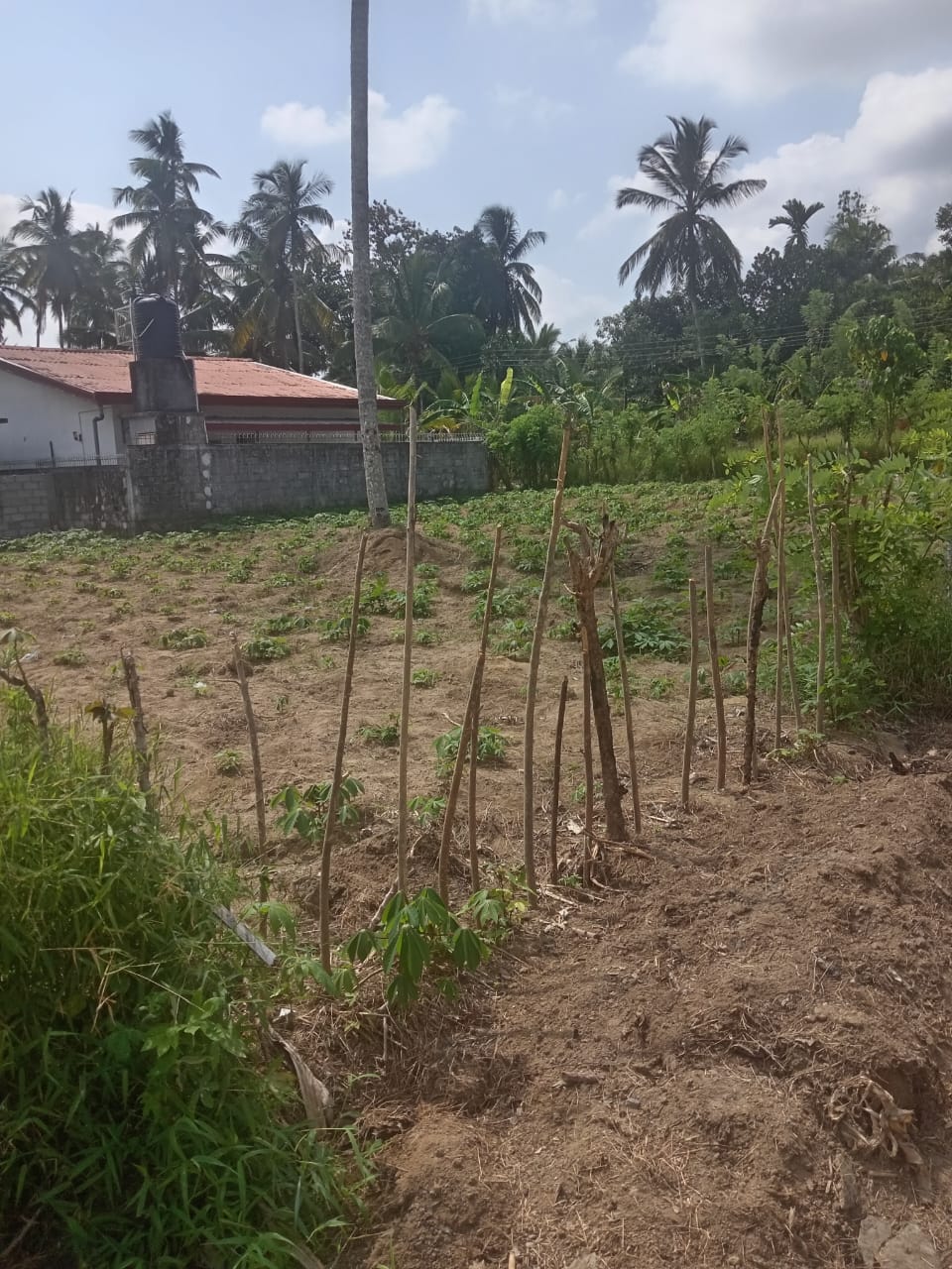 Precious Resident Land for Sales ( 11 Perches) Kadawatha