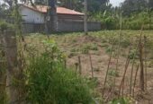 Precious Resident Land for Sales ( 11 Perches) Kadawatha