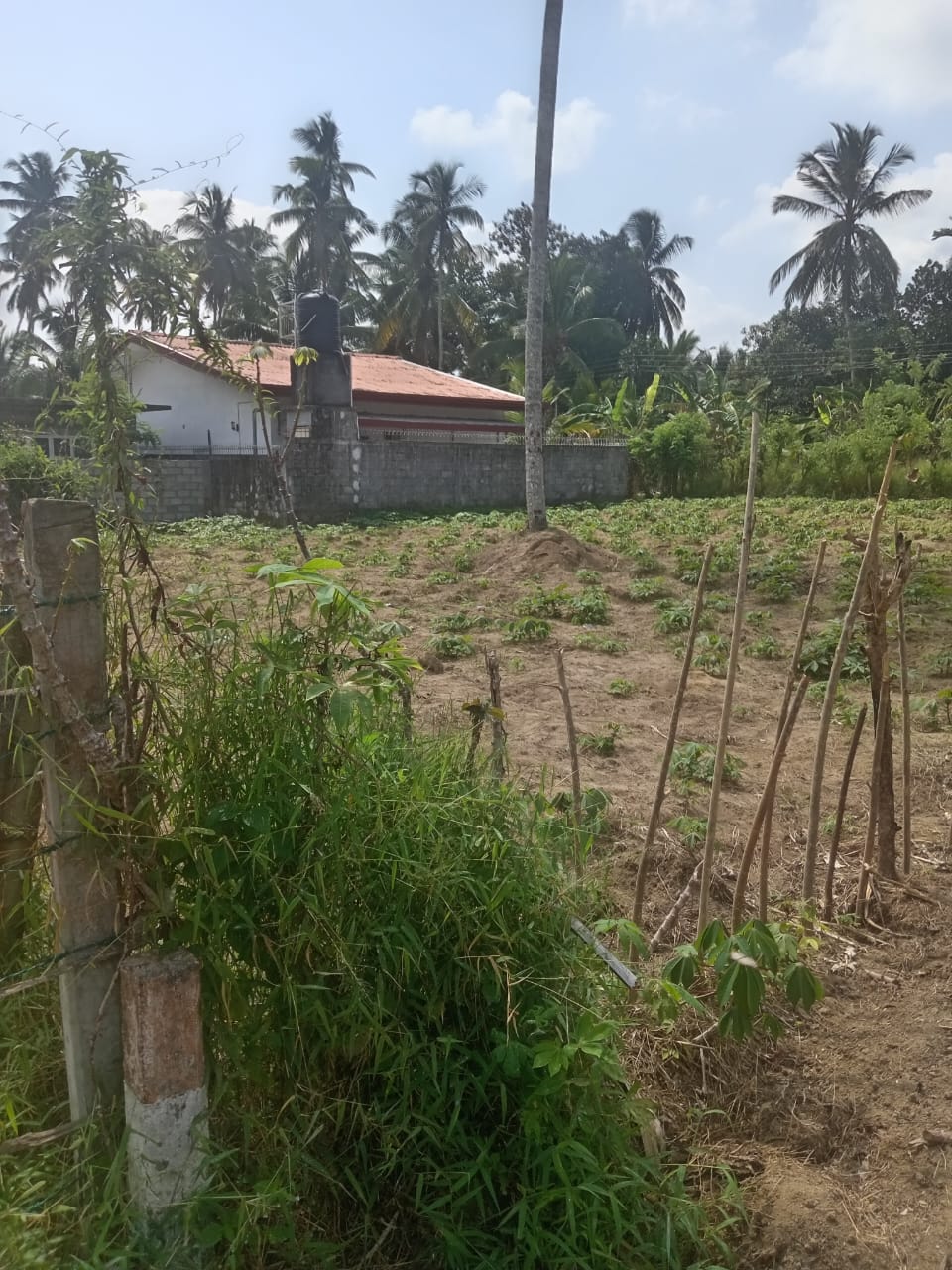 Precious Resident Land for Sales ( 11 Perches) Kadawatha