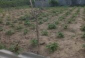 Precious Resident Land for Sales ( 11 Perches) Kadawatha