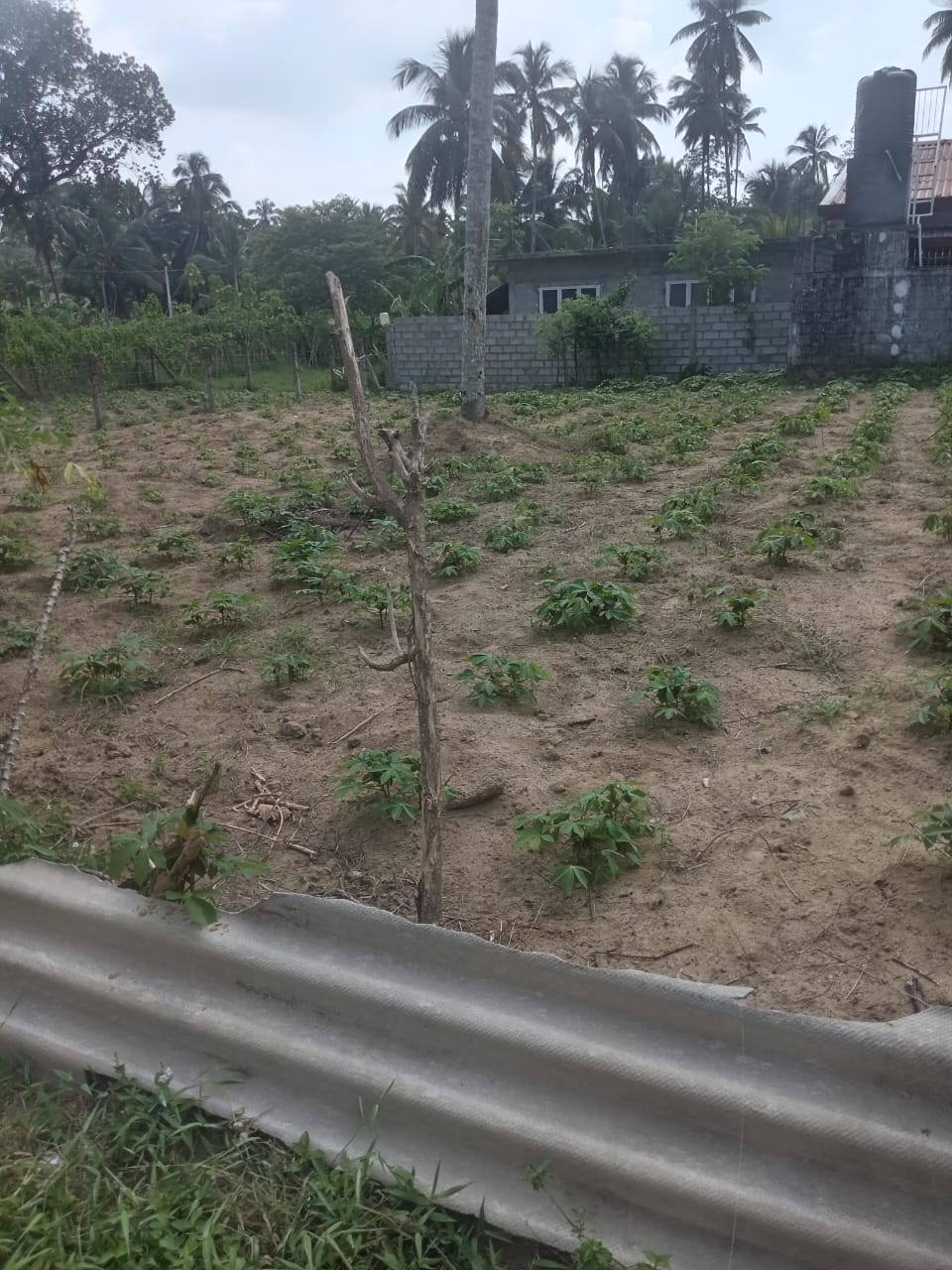 Precious Resident Land for Sales ( 11 Perches) Kadawatha