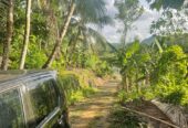 අක්කර 18.5 ක කුරුඳු රබර් ඇතුලු මිශ්‍ර බෝග සහිත ඉඩම විකිණීමට