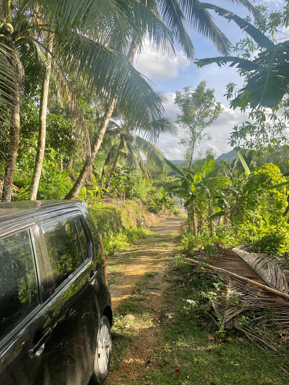 අක්කර 18.5 ක කුරුඳු රබර් ඇතුලු මිශ්‍ර බෝග සහිත ඉඩම විකිණීමට