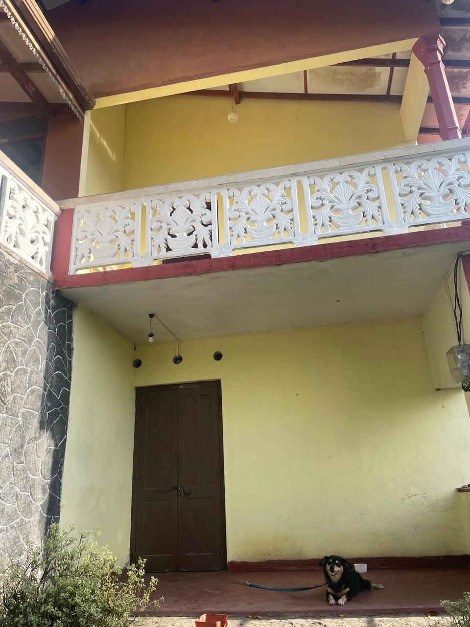 අක්කර 18.5 ක කුරුඳු රබර් ඇතුලු මිශ්‍ර බෝග සහිත ඉඩම විකිණීමට