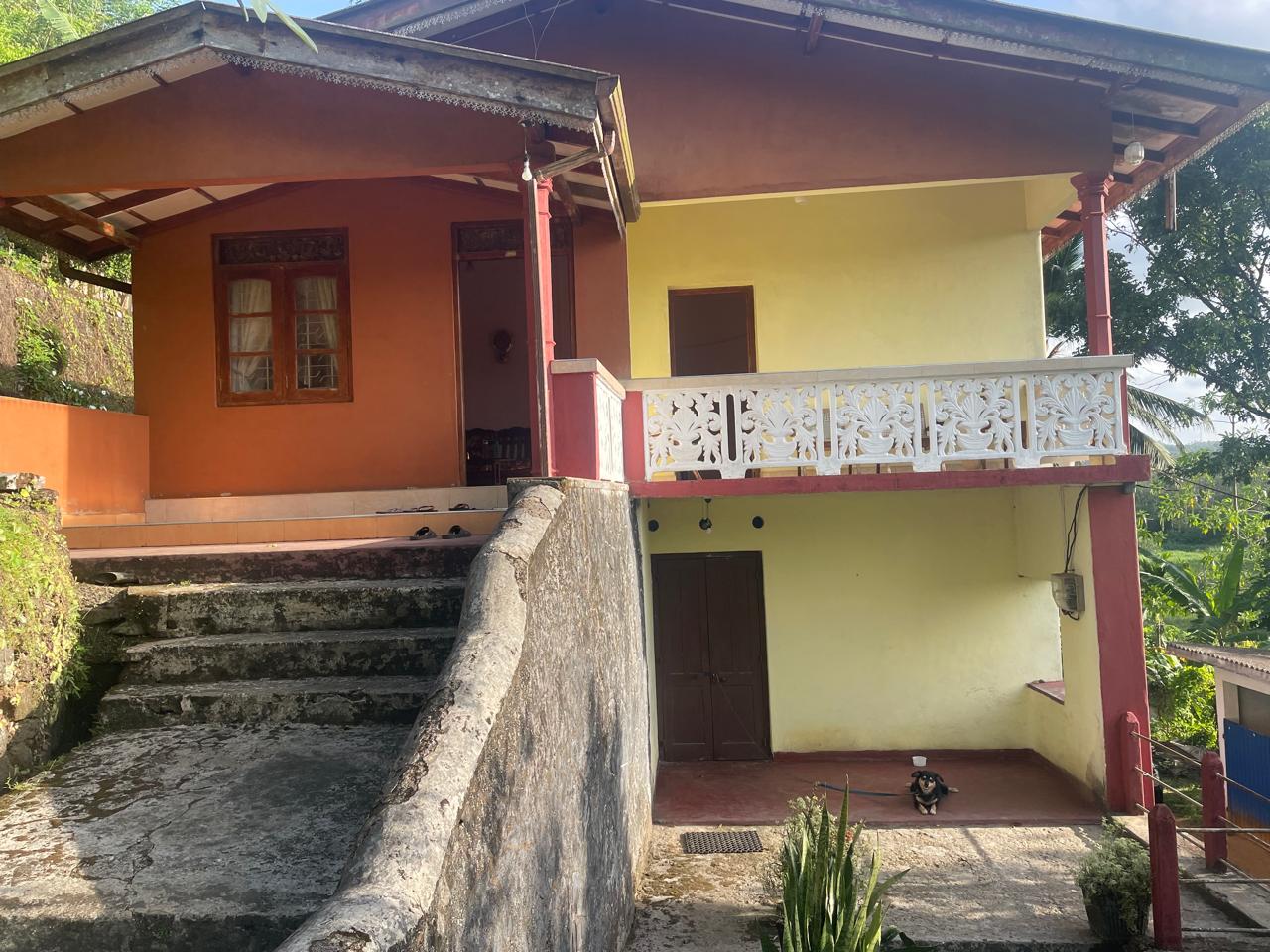 අක්කර 18.5 ක කුරුඳු රබර් ඇතුලු මිශ්‍ර බෝග සහිත ඉඩම විකිණීමට