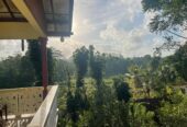අක්කර 18.5 ක කුරුඳු රබර් ඇතුලු මිශ්‍ර බෝග සහිත ඉඩම විකිණීමට