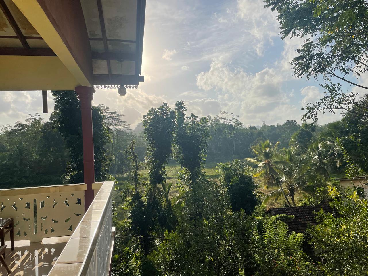 අක්කර 18.5 ක කුරුඳු රබර් ඇතුලු මිශ්‍ර බෝග සහිත ඉඩම විකිණීමට