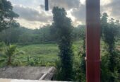 අක්කර 18.5 ක කුරුඳු රබර් ඇතුලු මිශ්‍ර බෝග සහිත ඉඩම විකිණීමට
