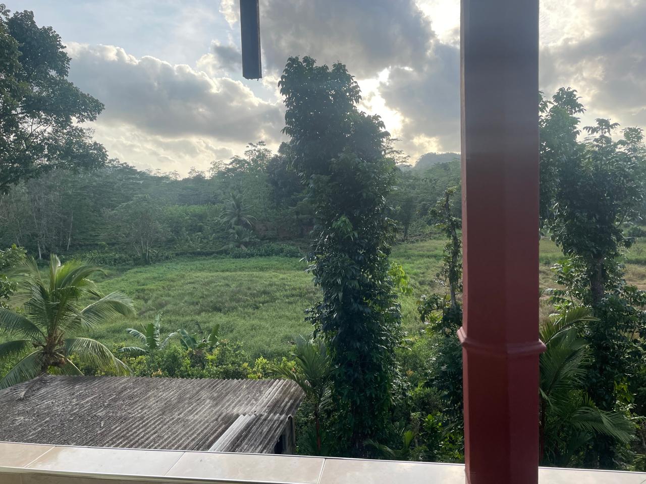 අක්කර 18.5 ක කුරුඳු රබර් ඇතුලු මිශ්‍ර බෝග සහිත ඉඩම විකිණීමට