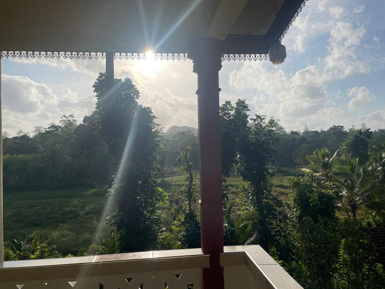 අක්කර 18.5 ක කුරුඳු රබර් ඇතුලු මිශ්‍ර බෝග සහිත ඉඩම විකිණීමට