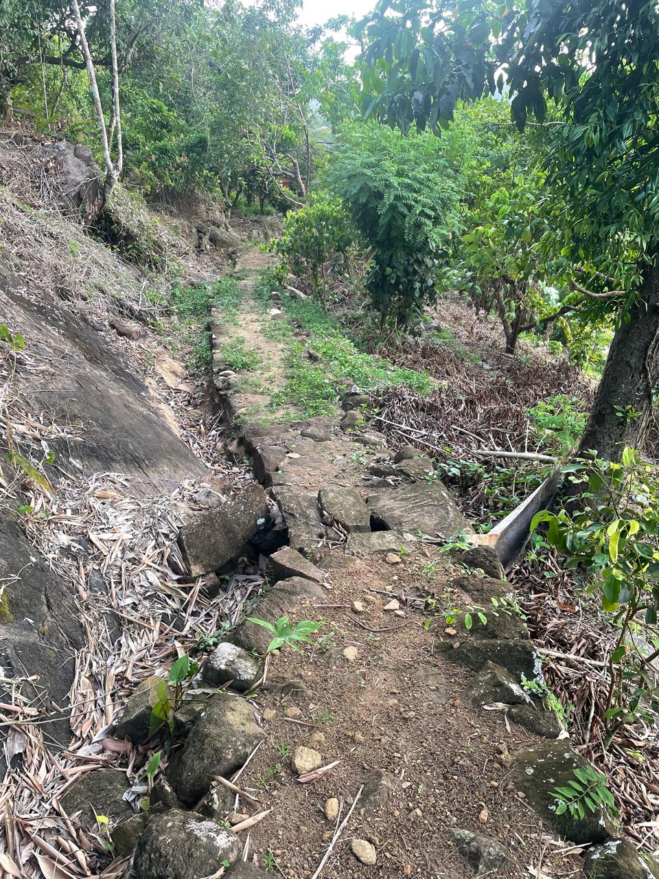 අක්කර 18.5 ක කුරුඳු රබර් ඇතුලු මිශ්‍ර බෝග සහිත ඉඩම විකිණීමට