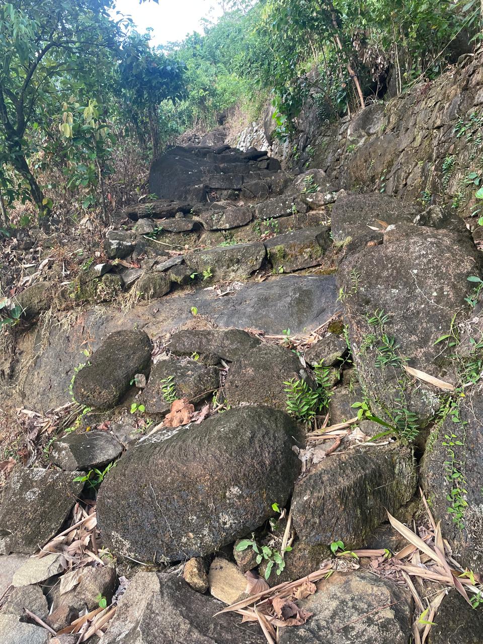 අක්කර 18.5 ක කුරුඳු රබර් ඇතුලු මිශ්‍ර බෝග සහිත ඉඩම විකිණීමට