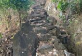 අක්කර 18.5 ක කුරුඳු රබර් ඇතුලු මිශ්‍ර බෝග සහිත ඉඩම විකිණීමට