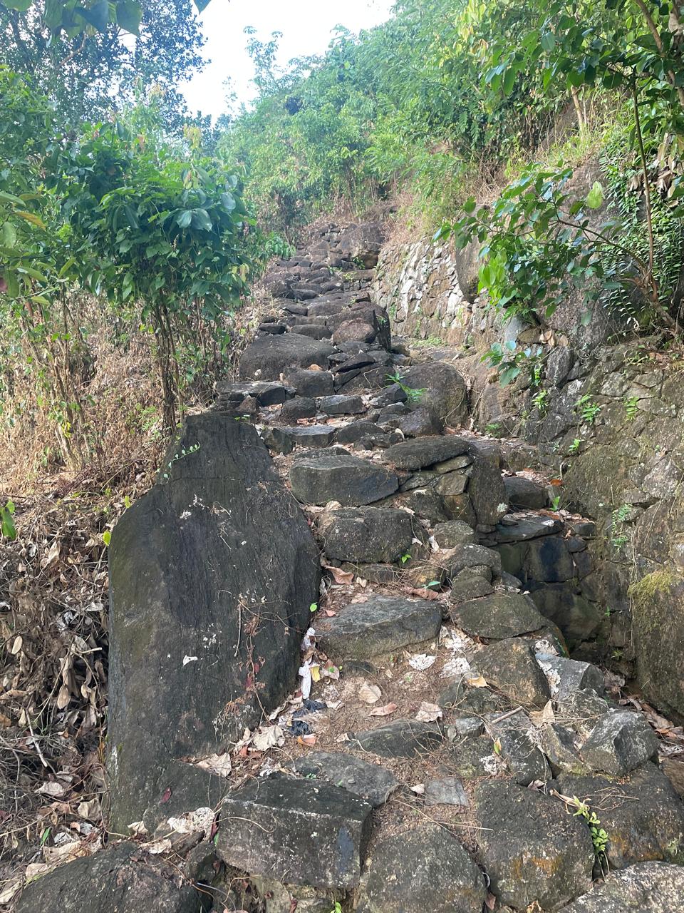 අක්කර 18.5 ක කුරුඳු රබර් ඇතුලු මිශ්‍ර බෝග සහිත ඉඩම විකිණීමට