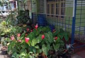 House for Sale in Pamunugama