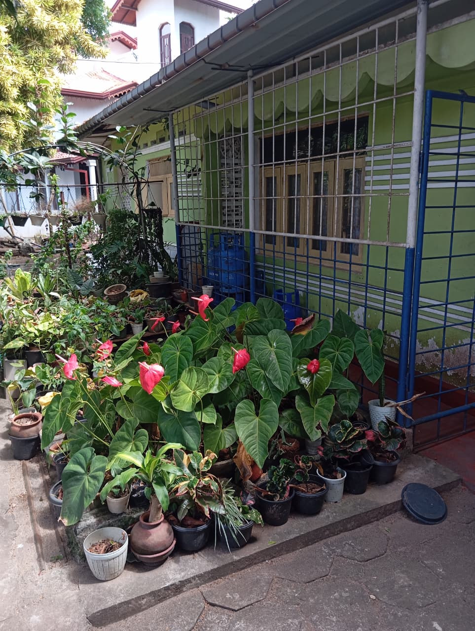 House for Sale in Pamunugama