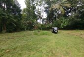 Land with House for Sale Narammala