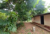 Land with House for Sale Narammala