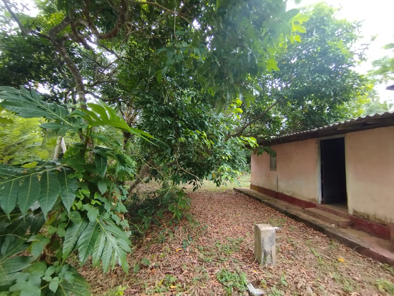Land with House for Sale Narammala