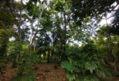 Land with House for Sale Narammala