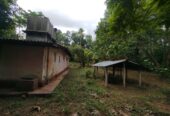 Land with House for Sale Narammala