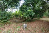 Land with House for Sale Narammala