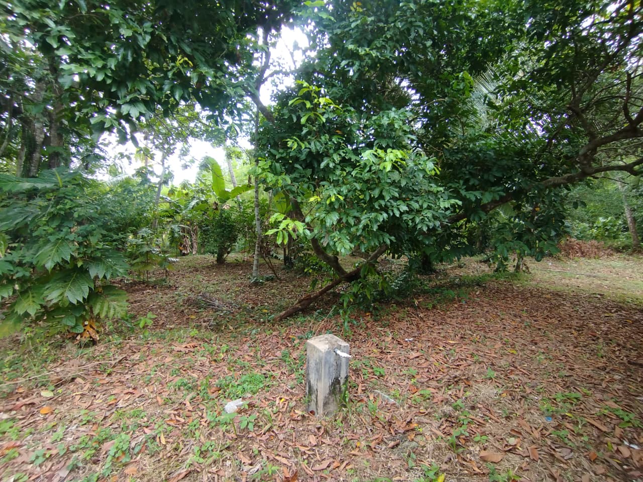 Land with House for Sale Narammala