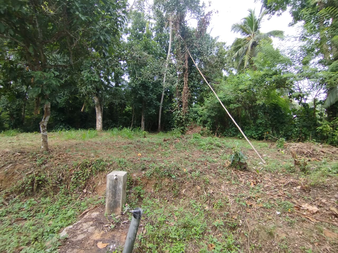 Land with House for Sale Narammala