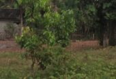 Land for Sale in Wadduwa