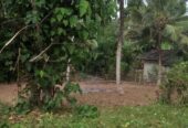 Land for Sale in Wadduwa