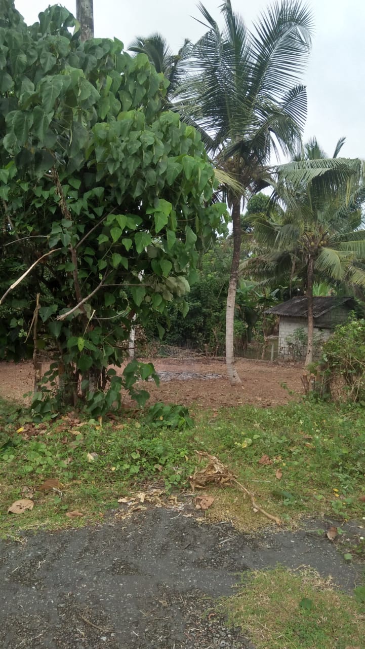 Land for Sale in Wadduwa