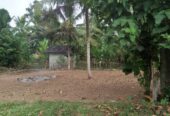 Land for Sale in Wadduwa