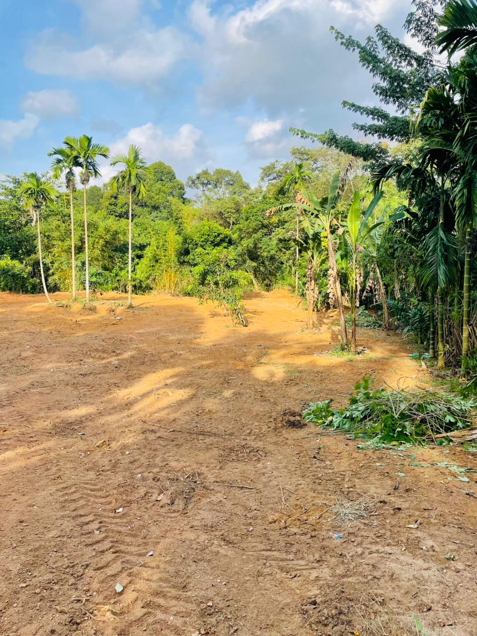 Land for sale / කොටස් වශයෙන් හෝ සම්පූර්න – Seethawaka