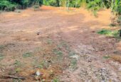Land for sale / කොටස් වශයෙන් හෝ සම්පූර්න – Seethawaka