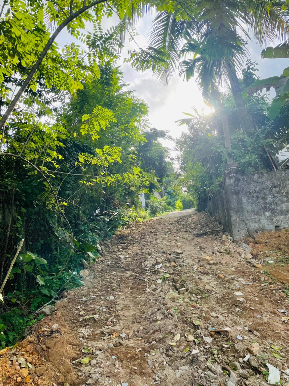 Land for sale / කොටස් වශයෙන් හෝ සම්පූර්න – Seethawaka