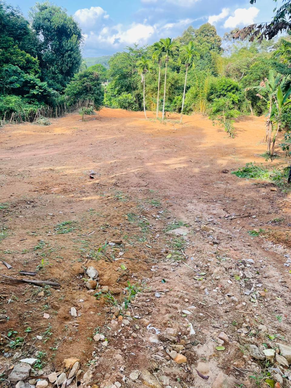 Land for sale / කොටස් වශයෙන් හෝ සම්පූර්න – Seethawaka